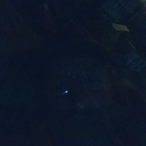 Meet your Posher, Rickey